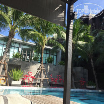 фото из отзыва ID 1931259