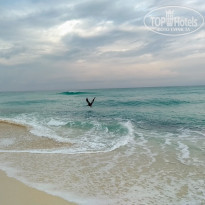 фото из отзыва ID 1931582