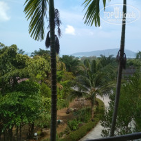 фото из отзыва ID 1931589