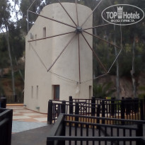 фото из отзыва ID 1931701