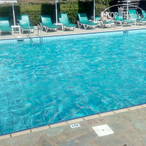 фото из отзыва ID 1931731