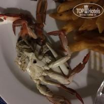 фото из отзыва ID 1931543