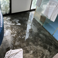 фото из отзыва ID 1931891