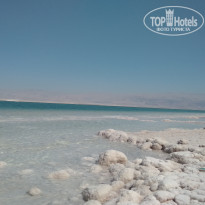 фото из отзыва ID 1931925