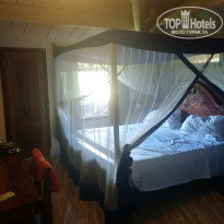 фото из отзыва ID 1931989