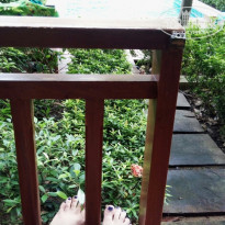 фото из отзыва ID 1932087