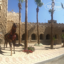 фото из отзыва ID 1932126