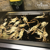 фото из отзыва ID 1932126