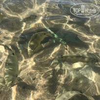 фото из отзыва ID 1932126