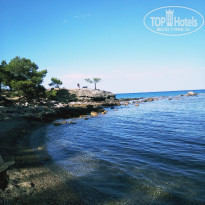 фото из отзыва ID 1932161