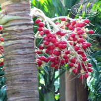 фото из отзыва ID 1932156