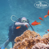 фото из отзыва ID 1932307