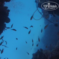 фото из отзыва ID 1932307