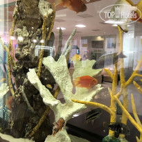 фото из отзыва ID 1931078