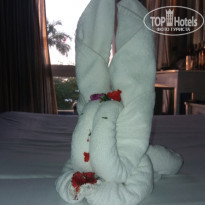 фото из отзыва ID 1932569