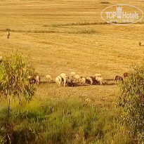 фото из отзыва ID 1932587