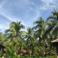 фото из отзыва ID 1932592