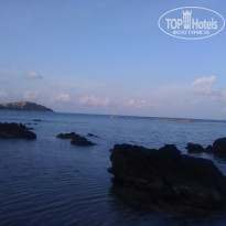 фото из отзыва ID 1932630