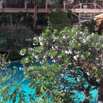 фото из отзыва ID 1932772