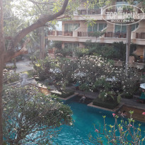 фото из отзыва ID 1932772