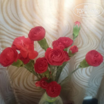 фото из отзыва ID 1932798