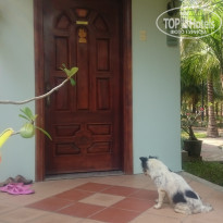 фото из отзыва ID 1932798