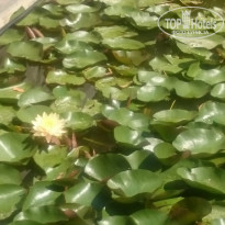 фото из отзыва ID 1932798