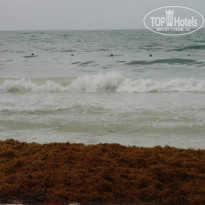 фото из отзыва ID 1932878