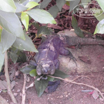 фото из отзыва ID 1932878