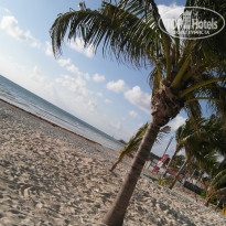 фото из отзыва ID 1932878