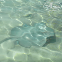 фото из отзыва ID 1932878