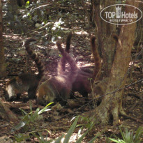 фото из отзыва ID 1932878