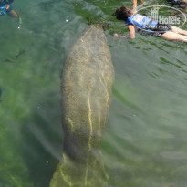 фото из отзыва ID 1932878