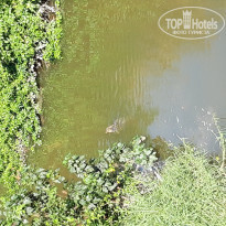 фото из отзыва ID 1933017