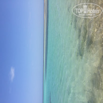 фото из отзыва ID 1933067