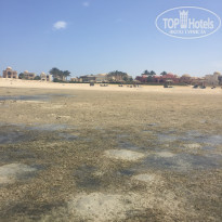 фото из отзыва ID 1933067