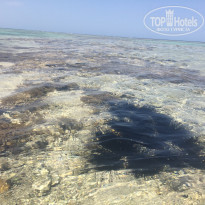 фото из отзыва ID 1933067