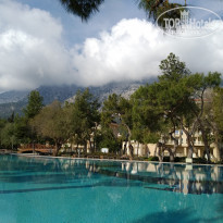 фото из отзыва ID 1933076