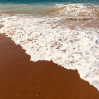 фото из отзыва ID 1933262