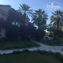 фото из отзыва ID 1933262