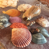 фото из отзыва ID 1933258