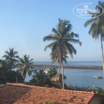 фото из отзыва ID 1933331