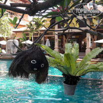 фото из отзыва ID 1932772