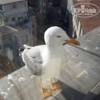 фото из отзыва ID 1933072