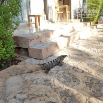 фото из отзыва ID 1933323