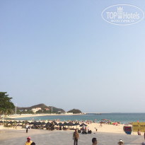 фото из отзыва ID 1933565