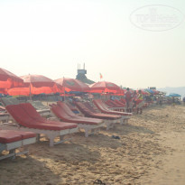 фото из отзыва ID 1933549