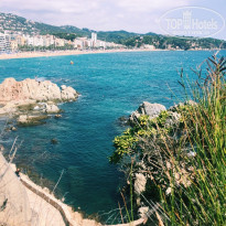 фото из отзыва ID 1933657