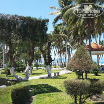 фото из отзыва ID 1933935