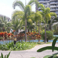 фото из отзыва ID 1933514